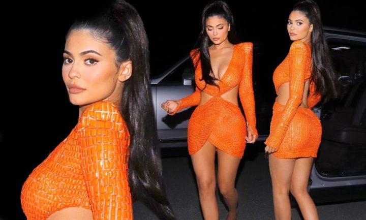 Kylie Jenner Wears $18,000 Outfit To Dinner With Friends
